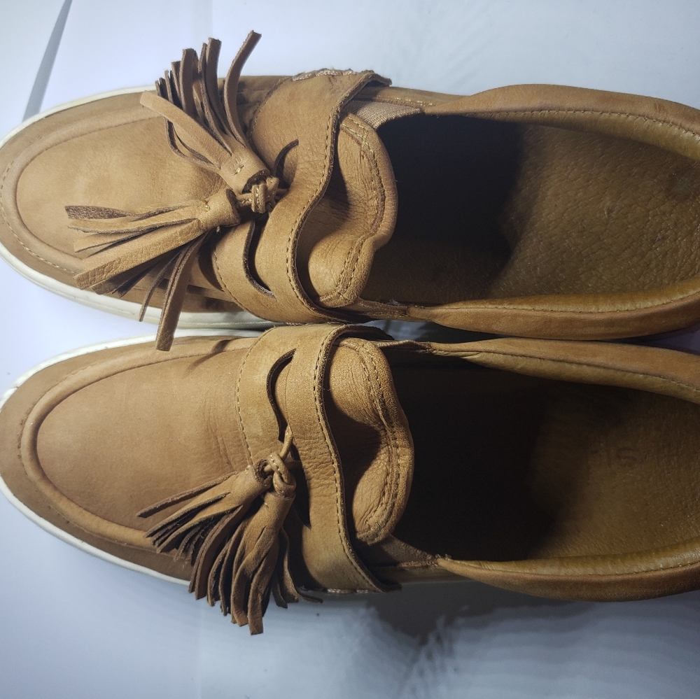 Euc J Slides - image 1